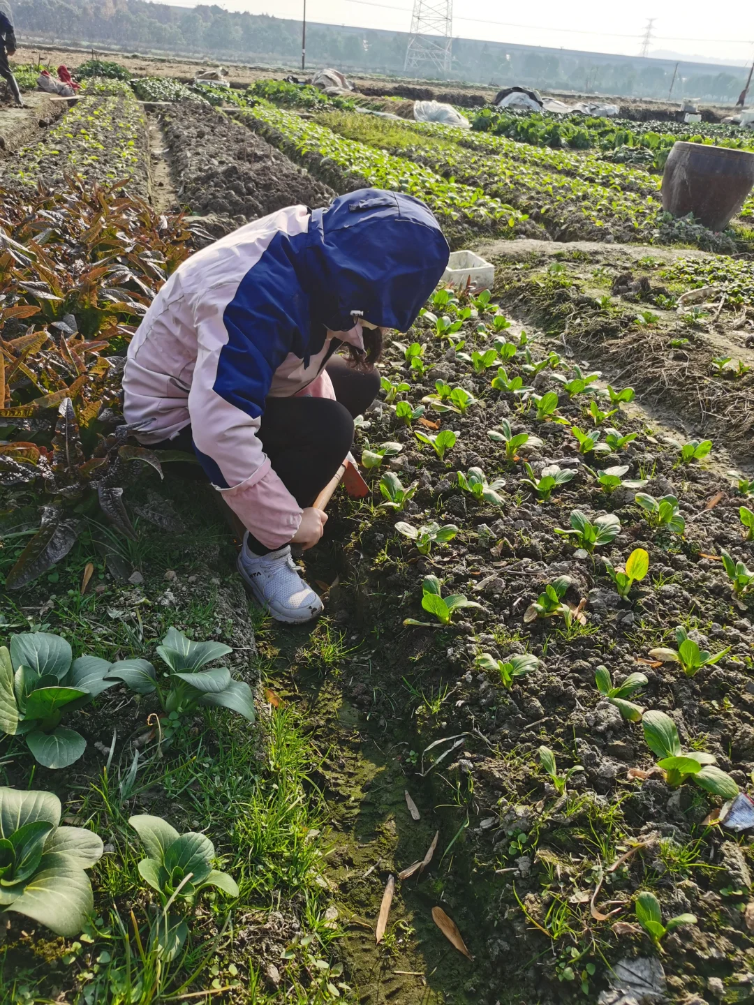 农民也要实习的～～种地吧