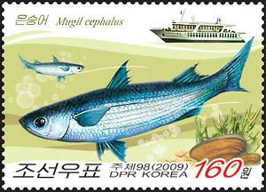 朝鲜海洋鱼类资源