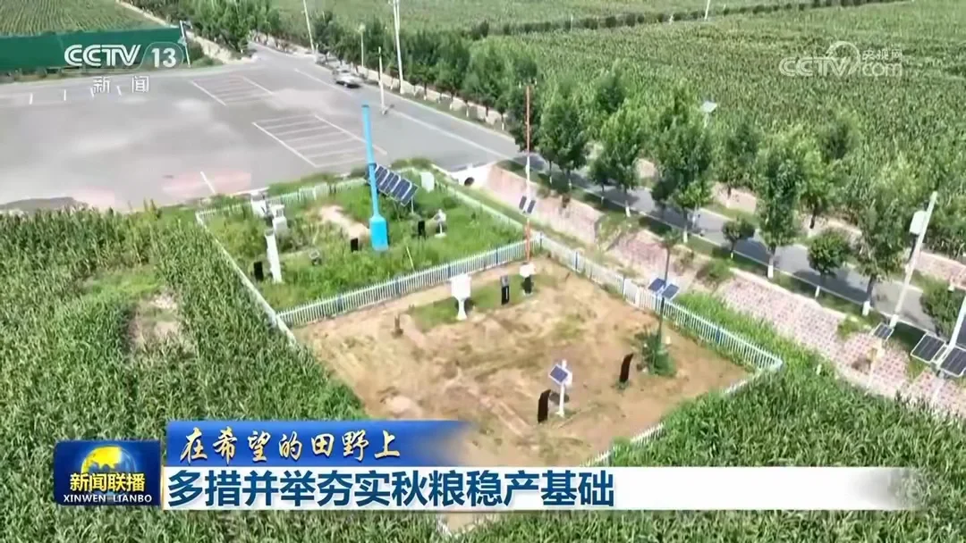 夯实秋粮稳产基础，共筑希望田野