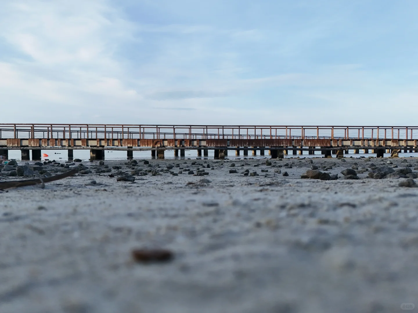 赶海的尽头是海钓的开始🌊