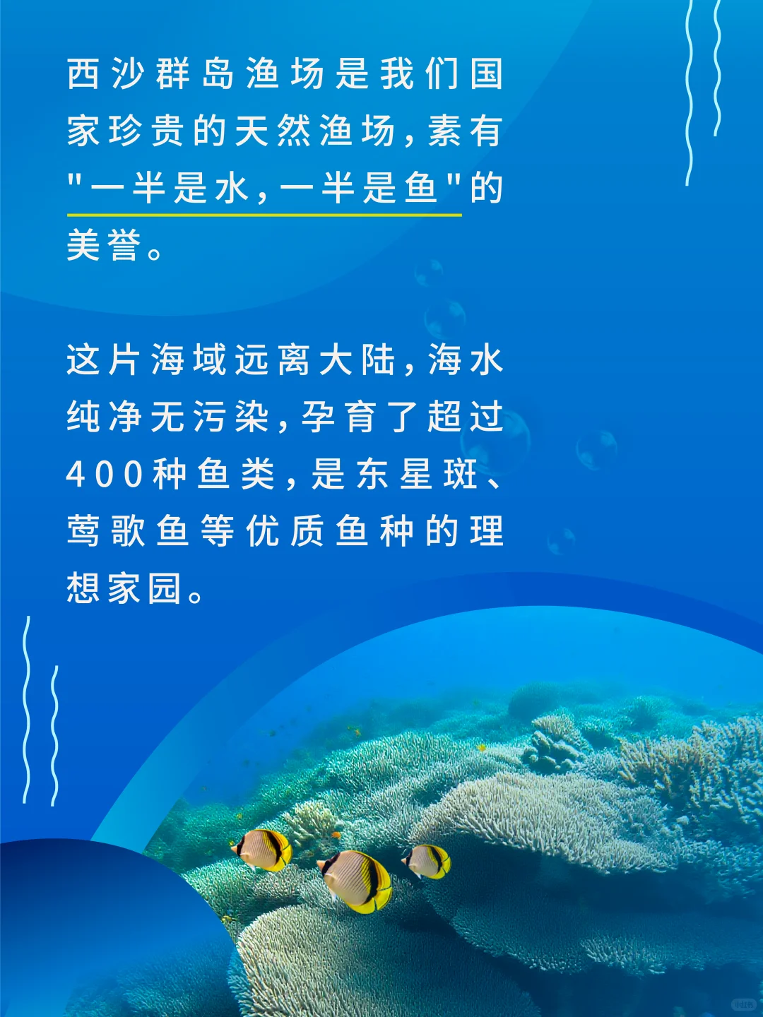 西沙渔荻–深海的珍馐馈赠