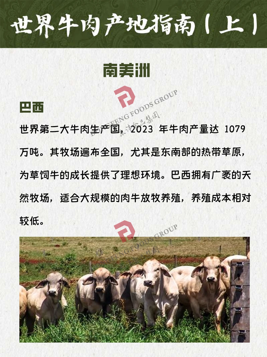 🌎 世界牛肉产地指南（上）
