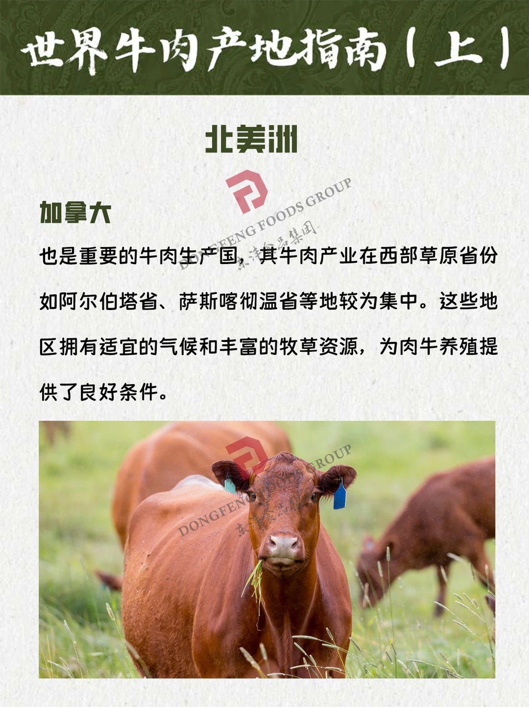 🌎 世界牛肉产地指南（上）