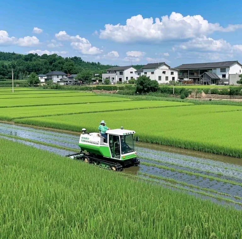 政策引领下的乡村蝶变