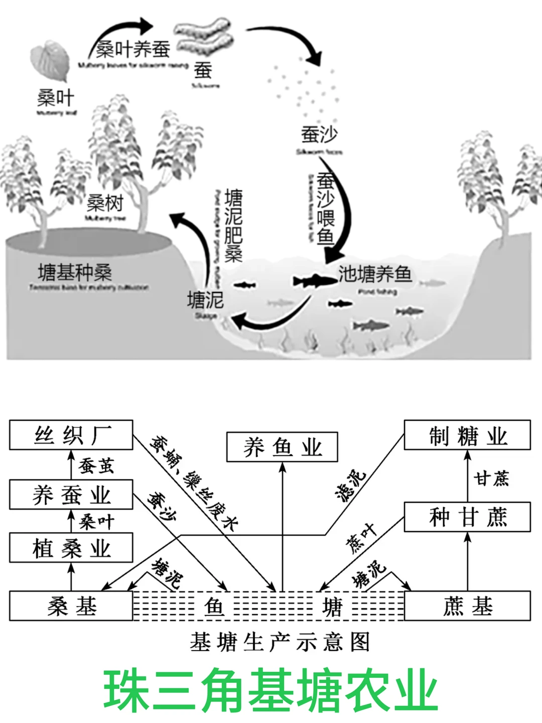 高中地理知识：3️⃣种立体农业
