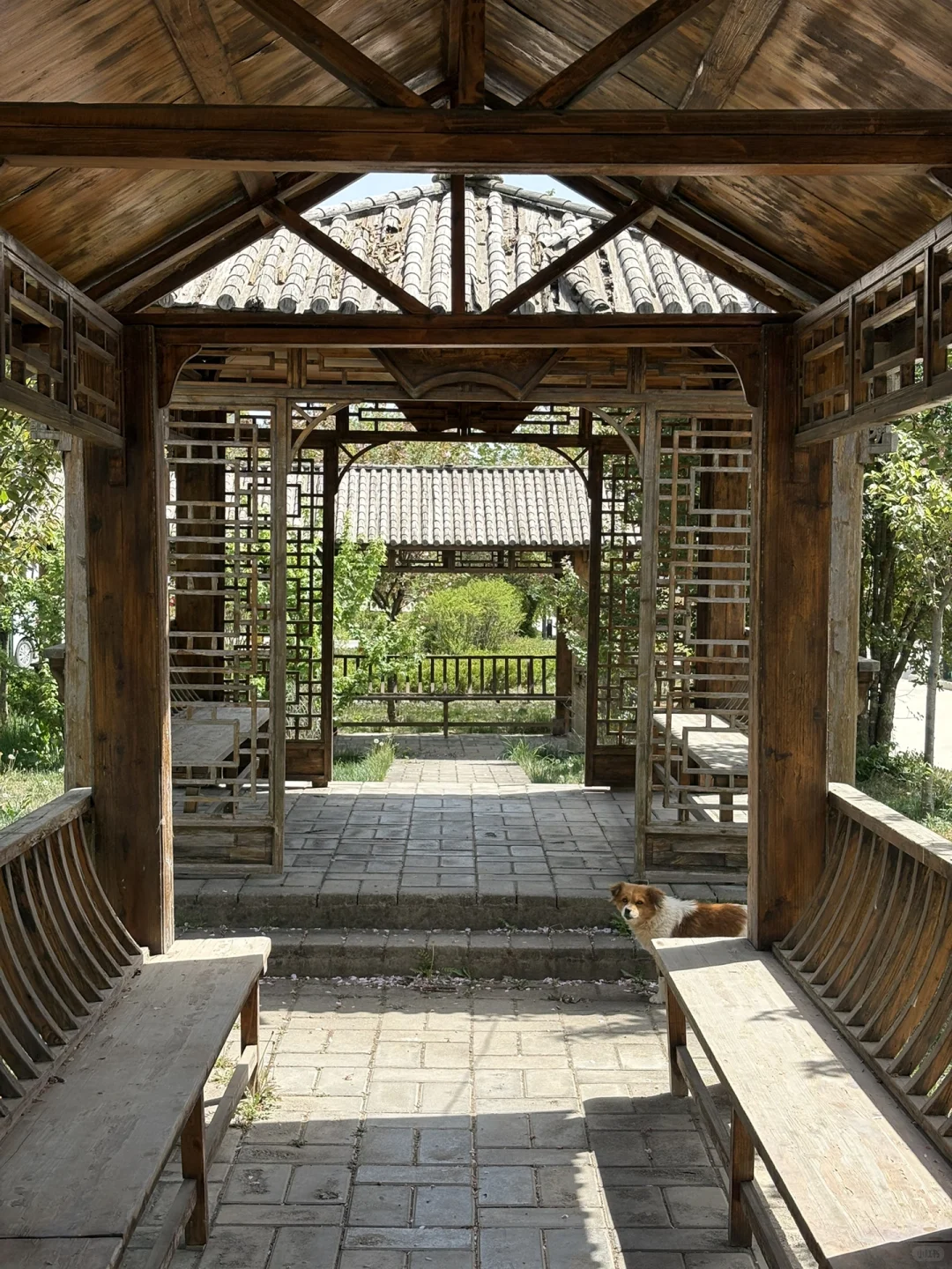 事业编林场入职第二十三天