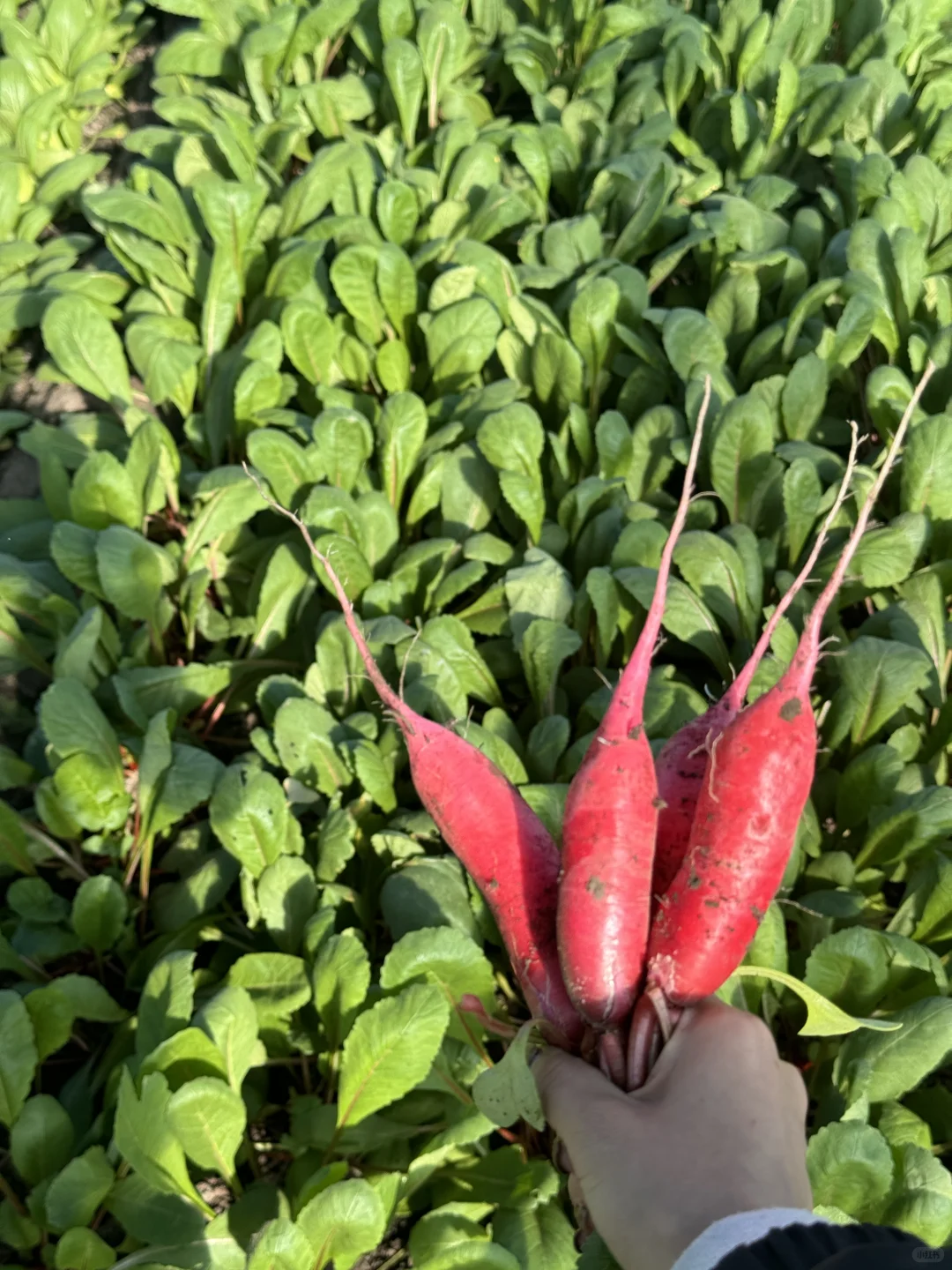 十二月也要加油哦