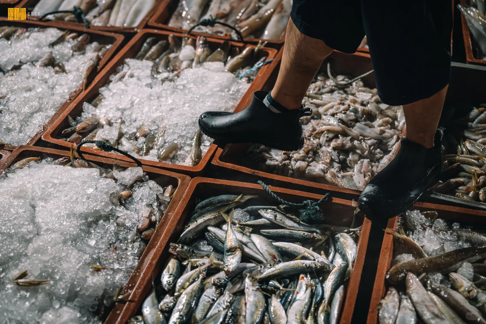 凌晨三点的渔村温度