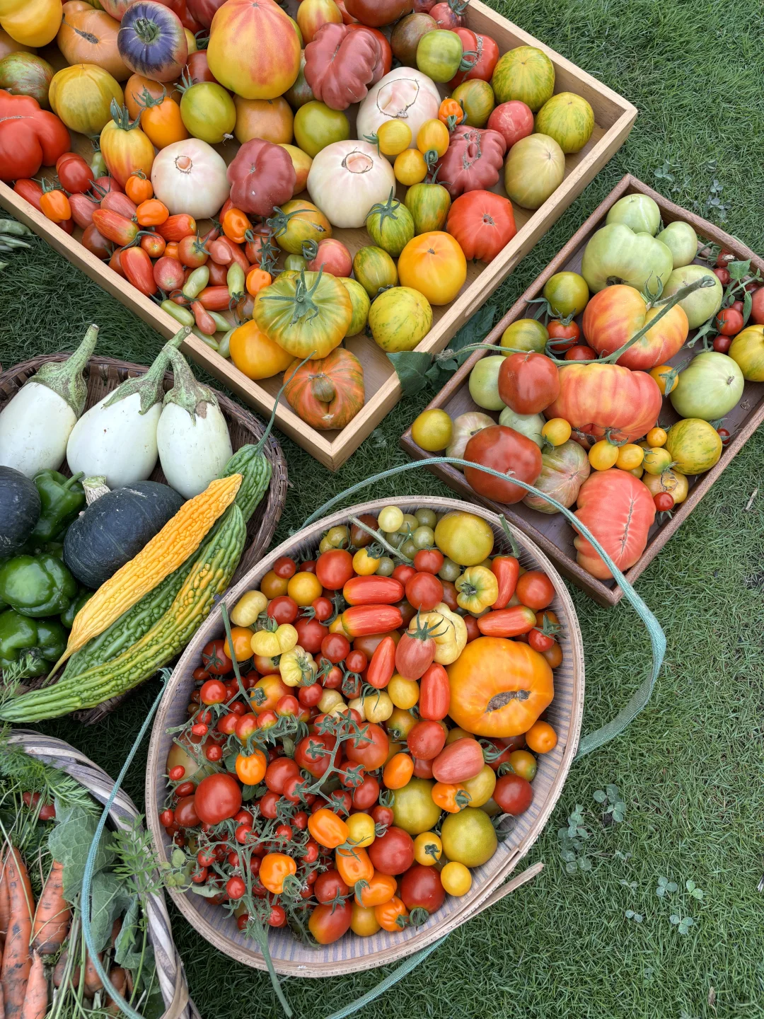 拥有农场主好朋友，提前10年过上梦想的生活