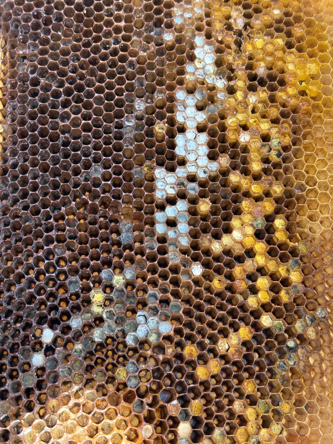 事业编林场入职第二十三天