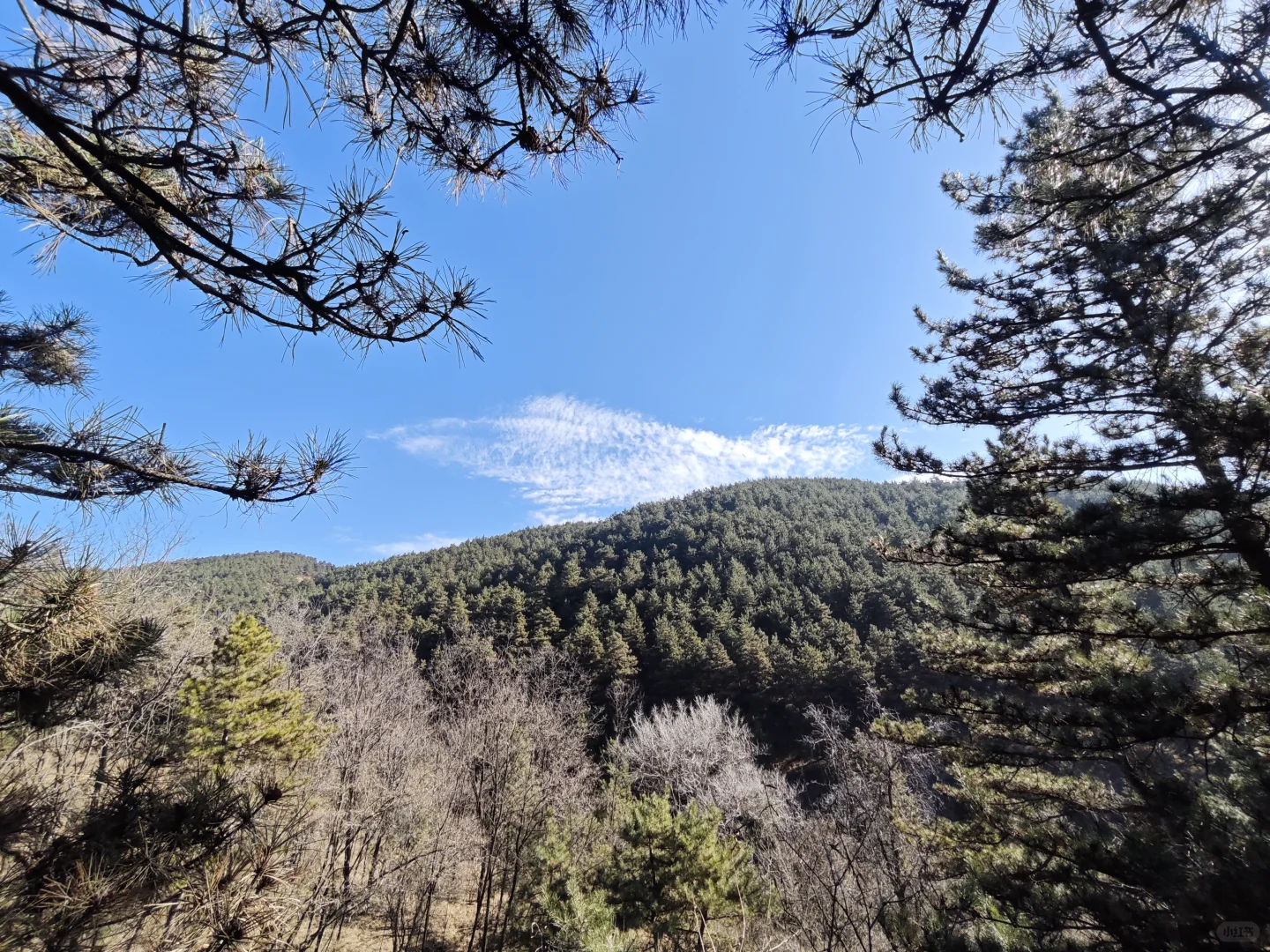 今年外调终于要结束了！