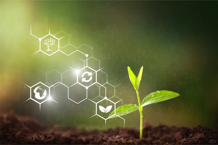 绿色农业新风尚