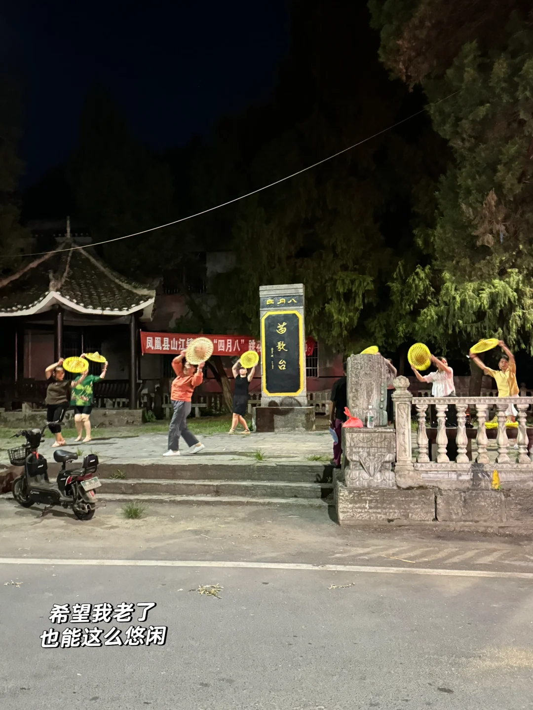 林业女研究生外业日常🧩