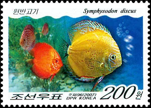 朝鲜海洋鱼类资源