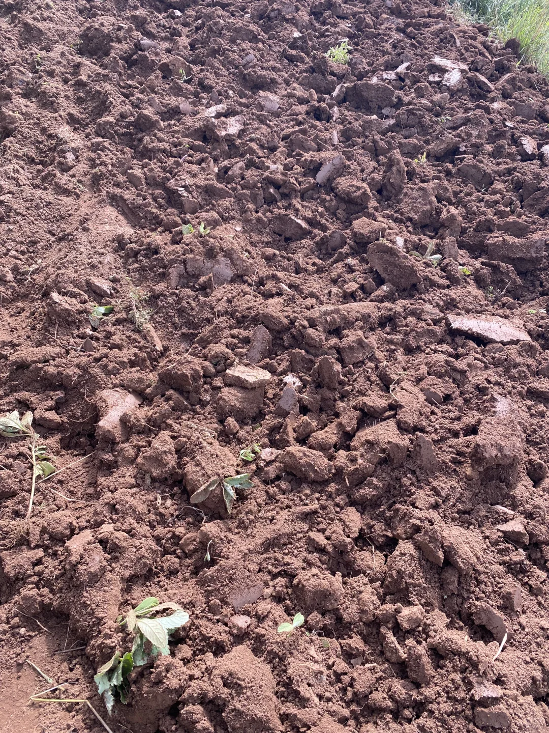 不想在大城市做牛马？那就回家种地！