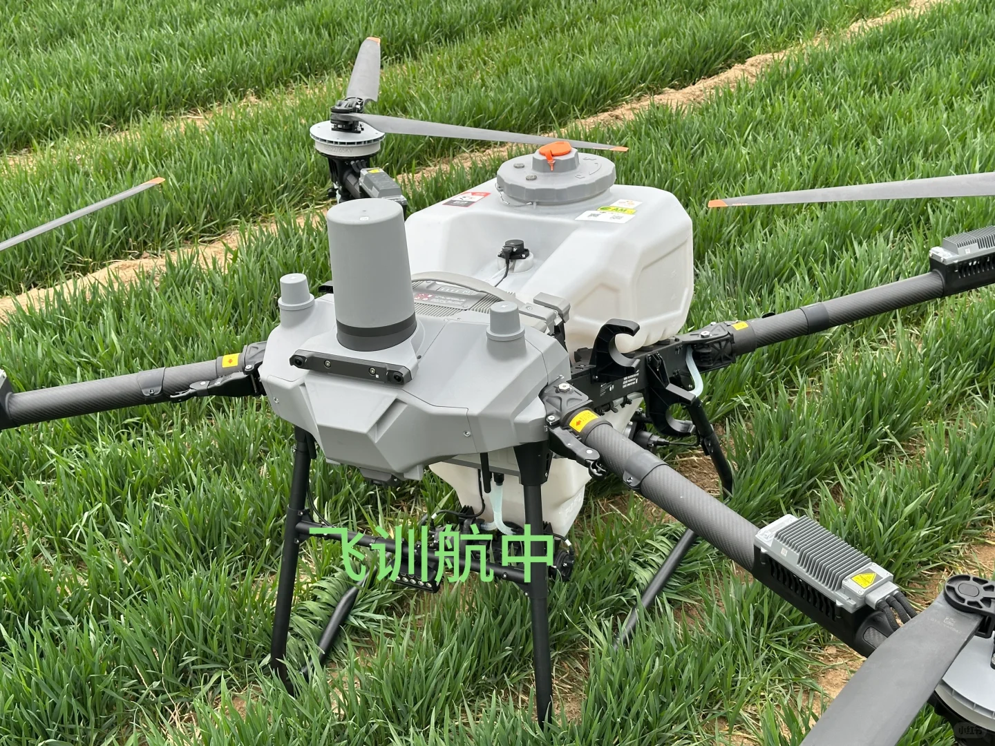 🌾【科技赋能农业，大疆无人机助力丰收】🌾