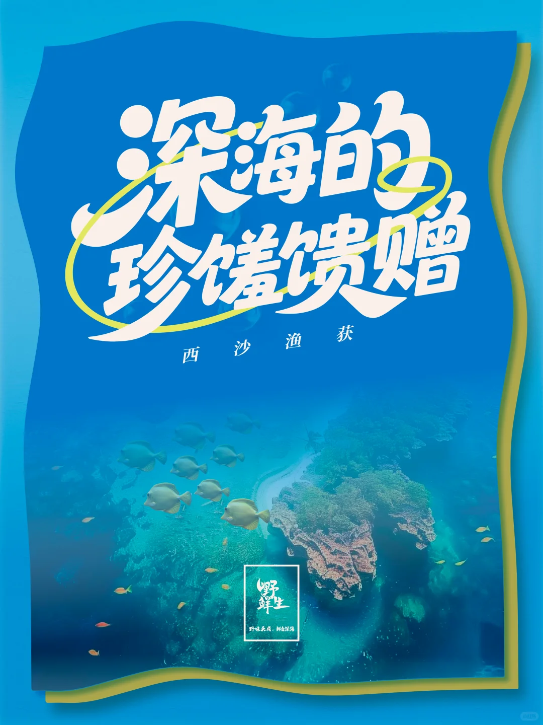 西沙渔荻–深海的珍馐馈赠