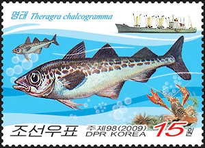 朝鲜海洋鱼类资源