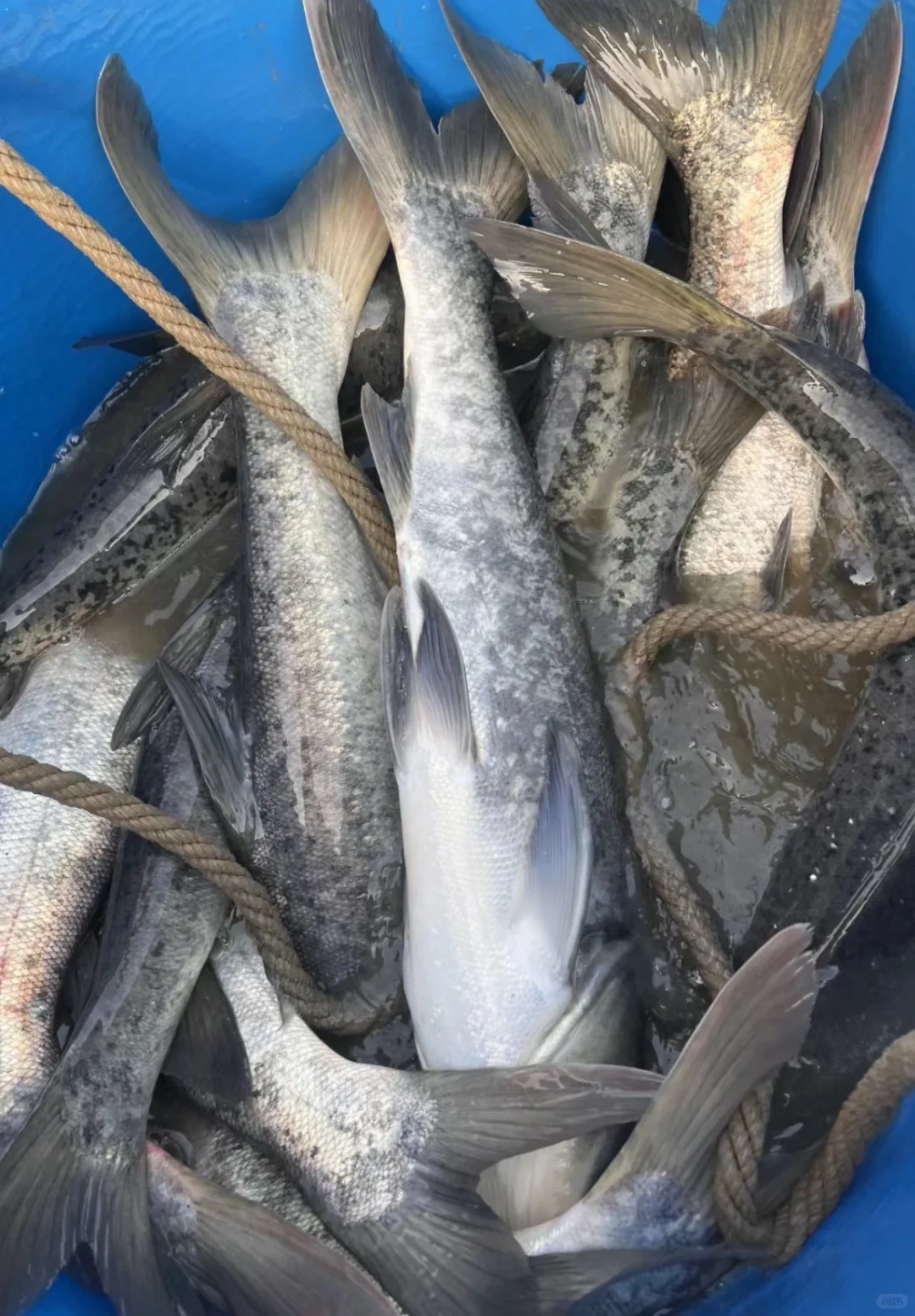 00后水产养殖户的一天