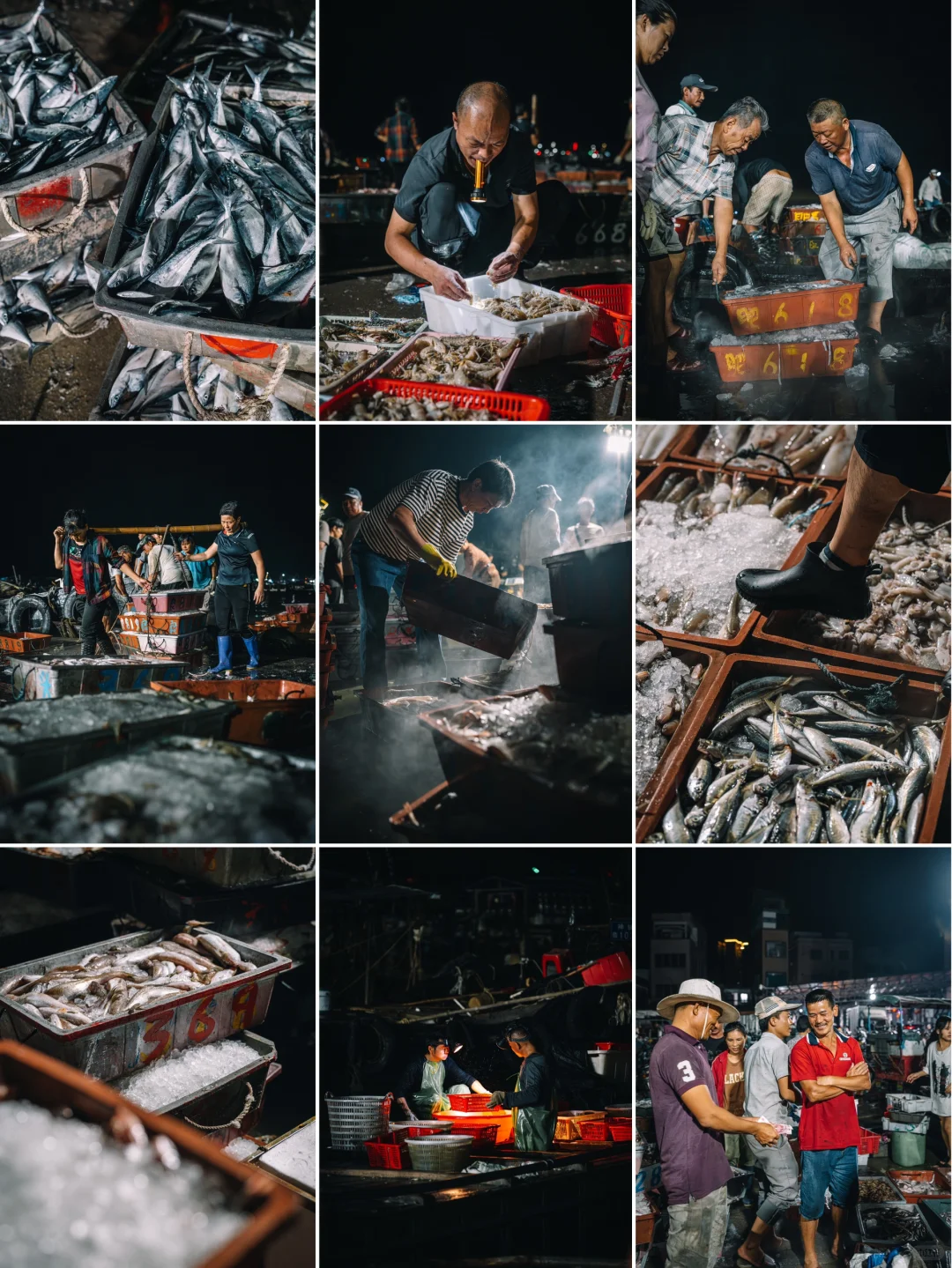 凌晨三点的渔村温度