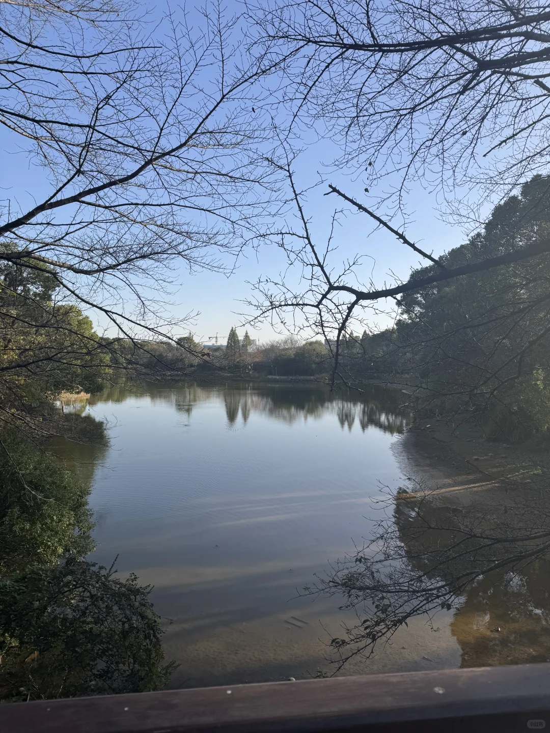 林科院里有什么