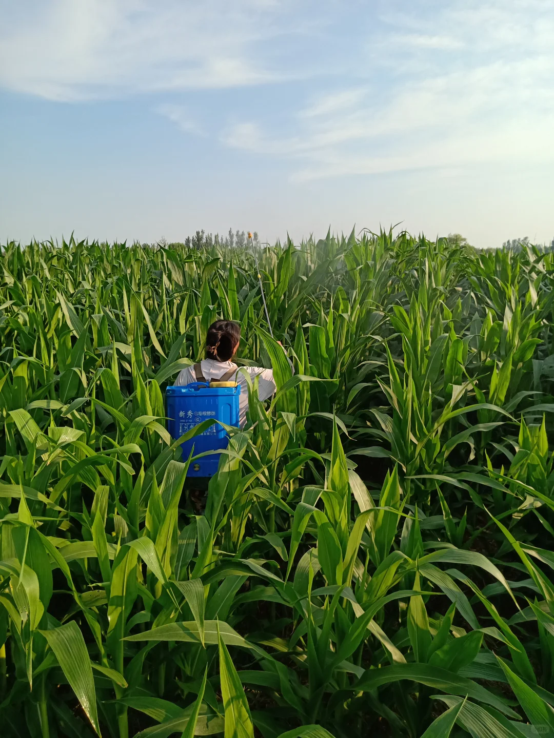 网上说种地已经成了中产们的新趋势