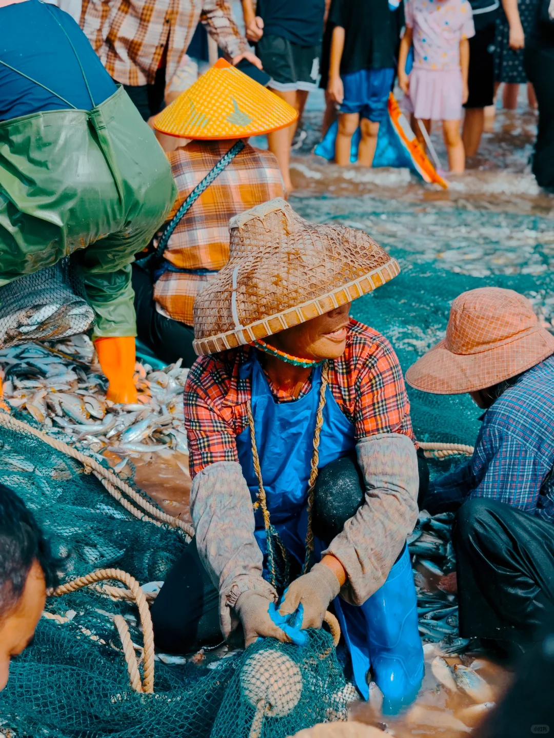 湛江开海啦|丰收季🐟