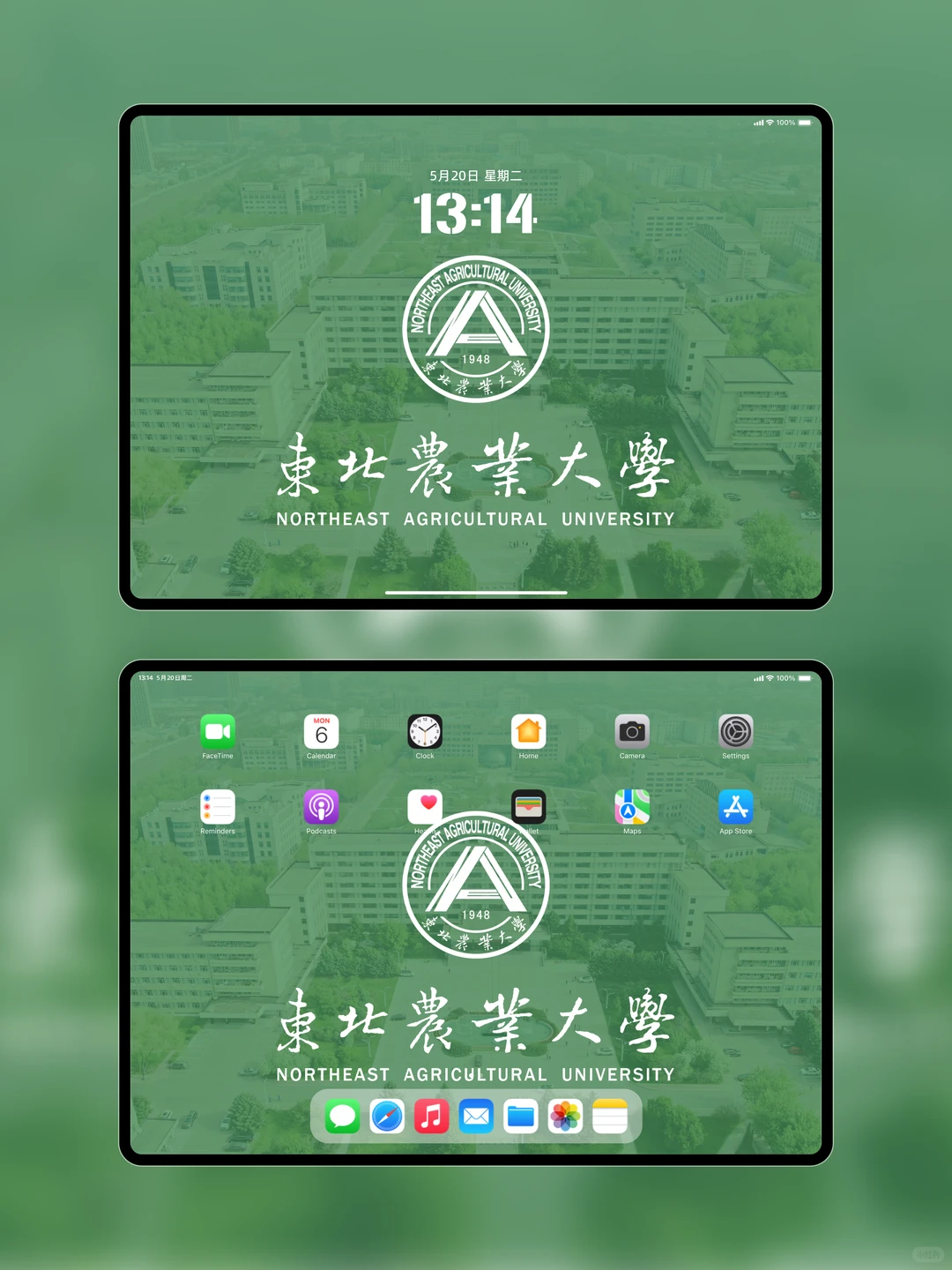 东北林业大学壁纸｜绿染山河，逐梦东林