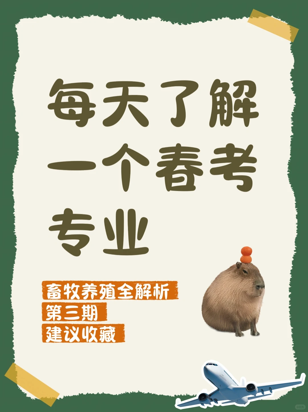 畜牧养殖全解析