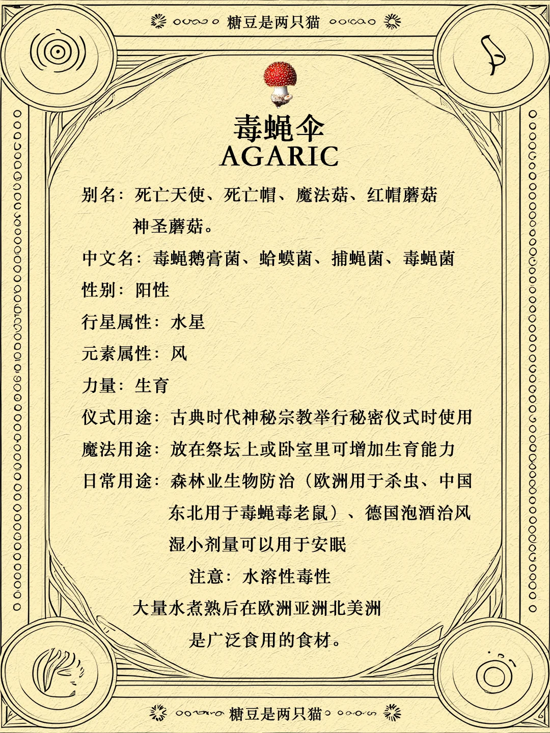 草药🌿·5毒蝇伞