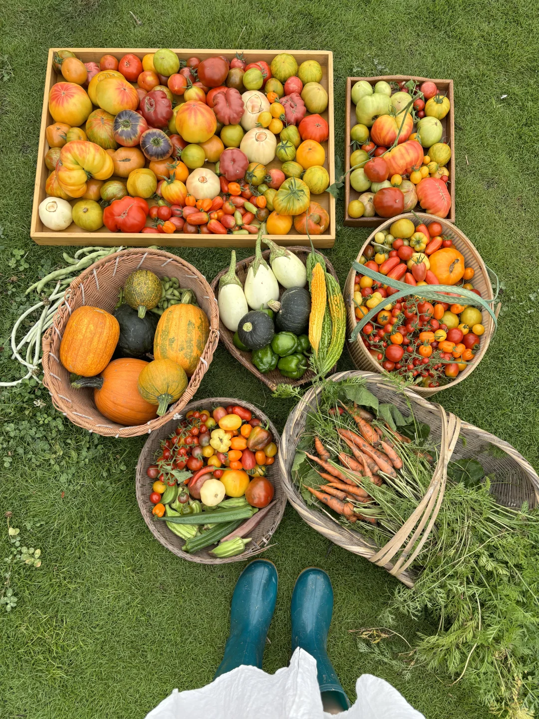 拥有农场主好朋友，提前10年过上梦想的生活
