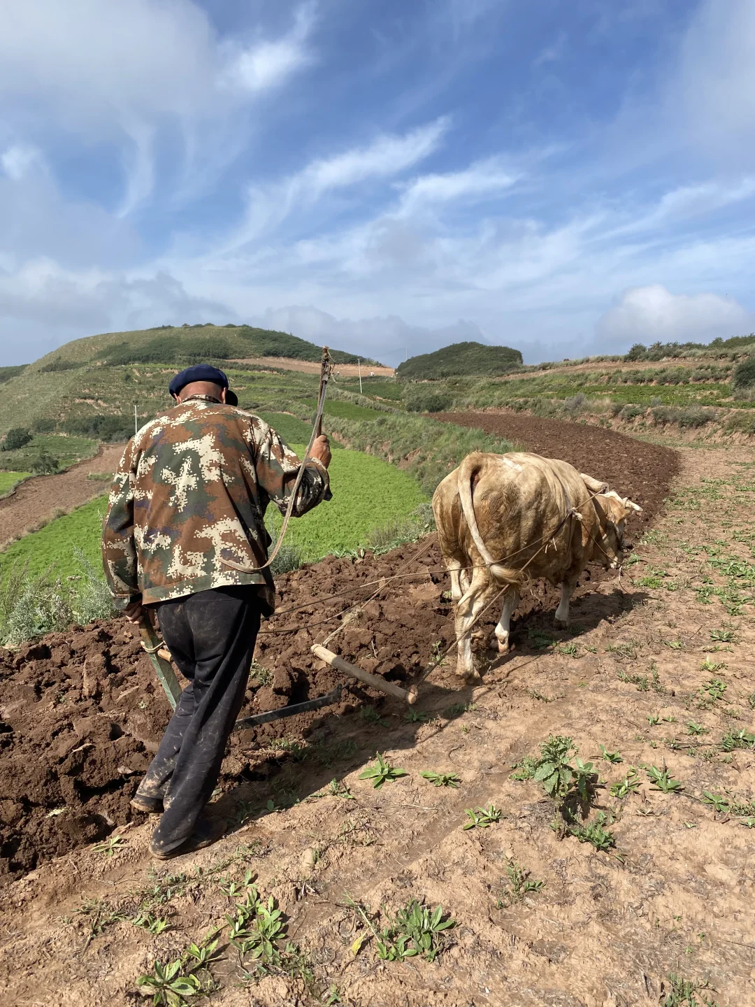 不想在大城市做牛马？那就回家种地！