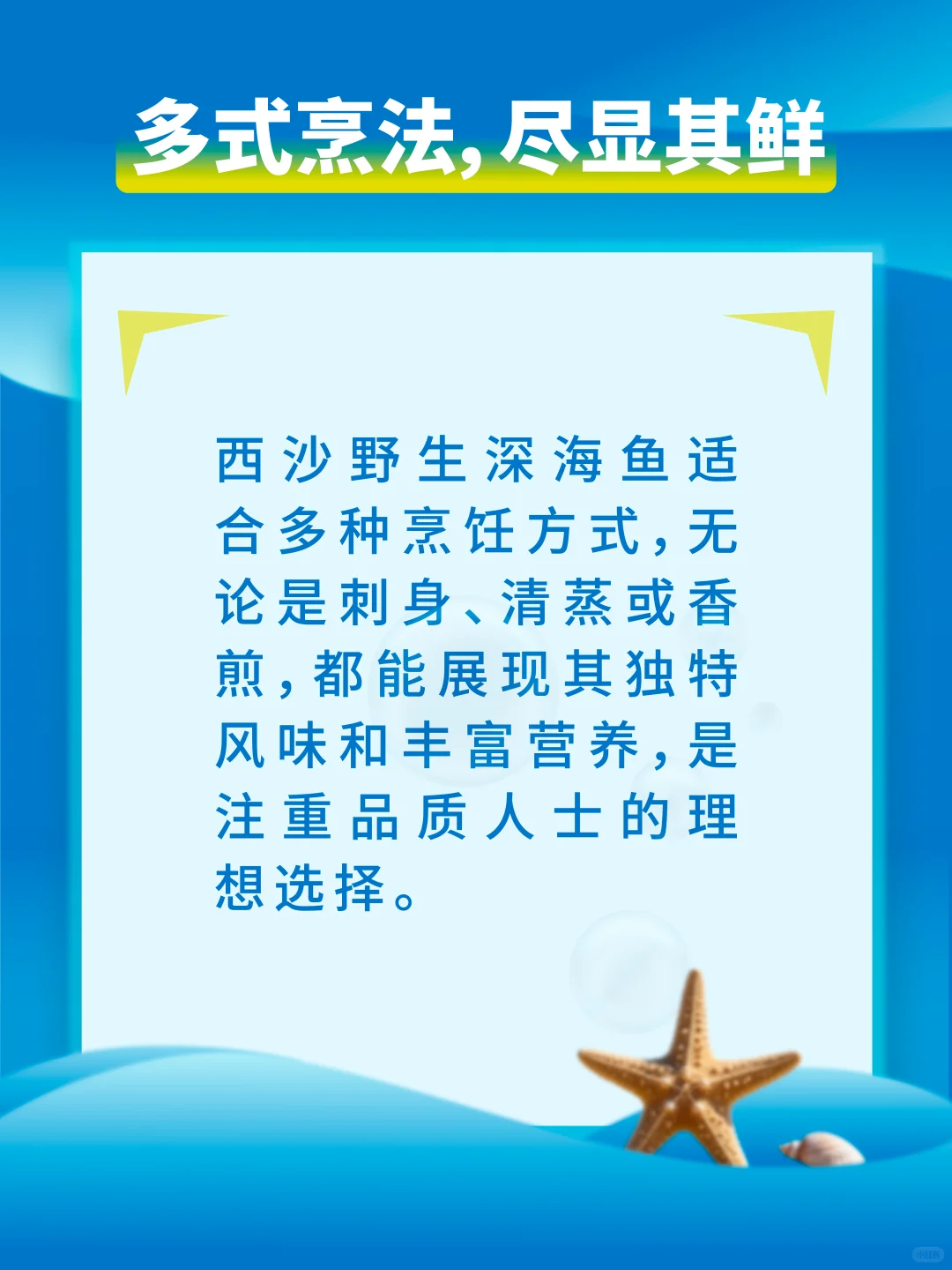 西沙渔荻–深海的珍馐馈赠