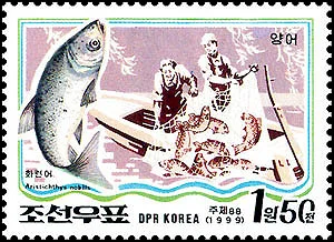 朝鲜海洋鱼类资源