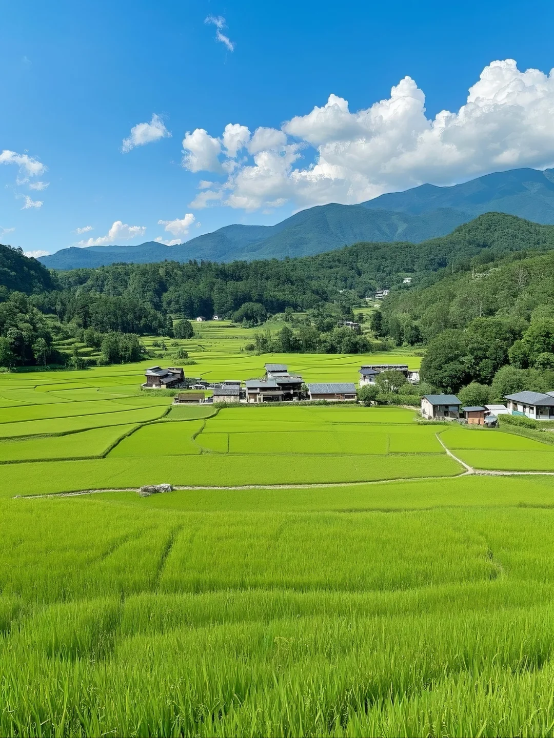 金秋稻浪，丰收在望，美丽的乡村风光