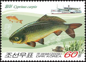 朝鲜海洋鱼类资源