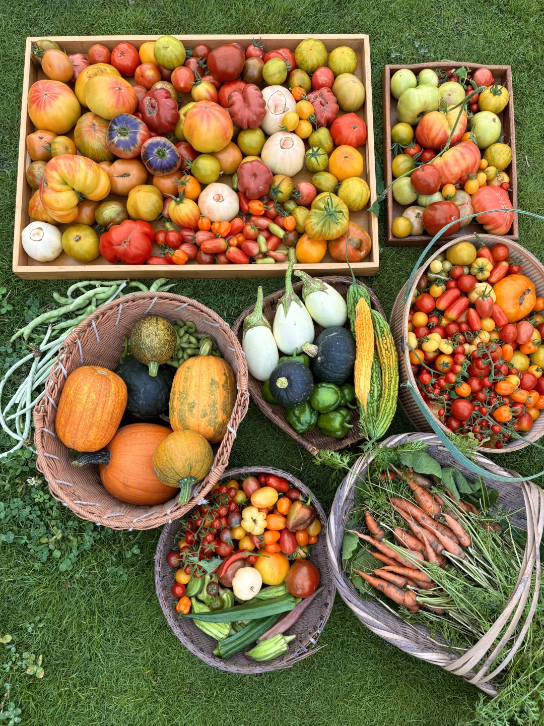 拥有农场主好朋友，提前10年过上梦想的生活