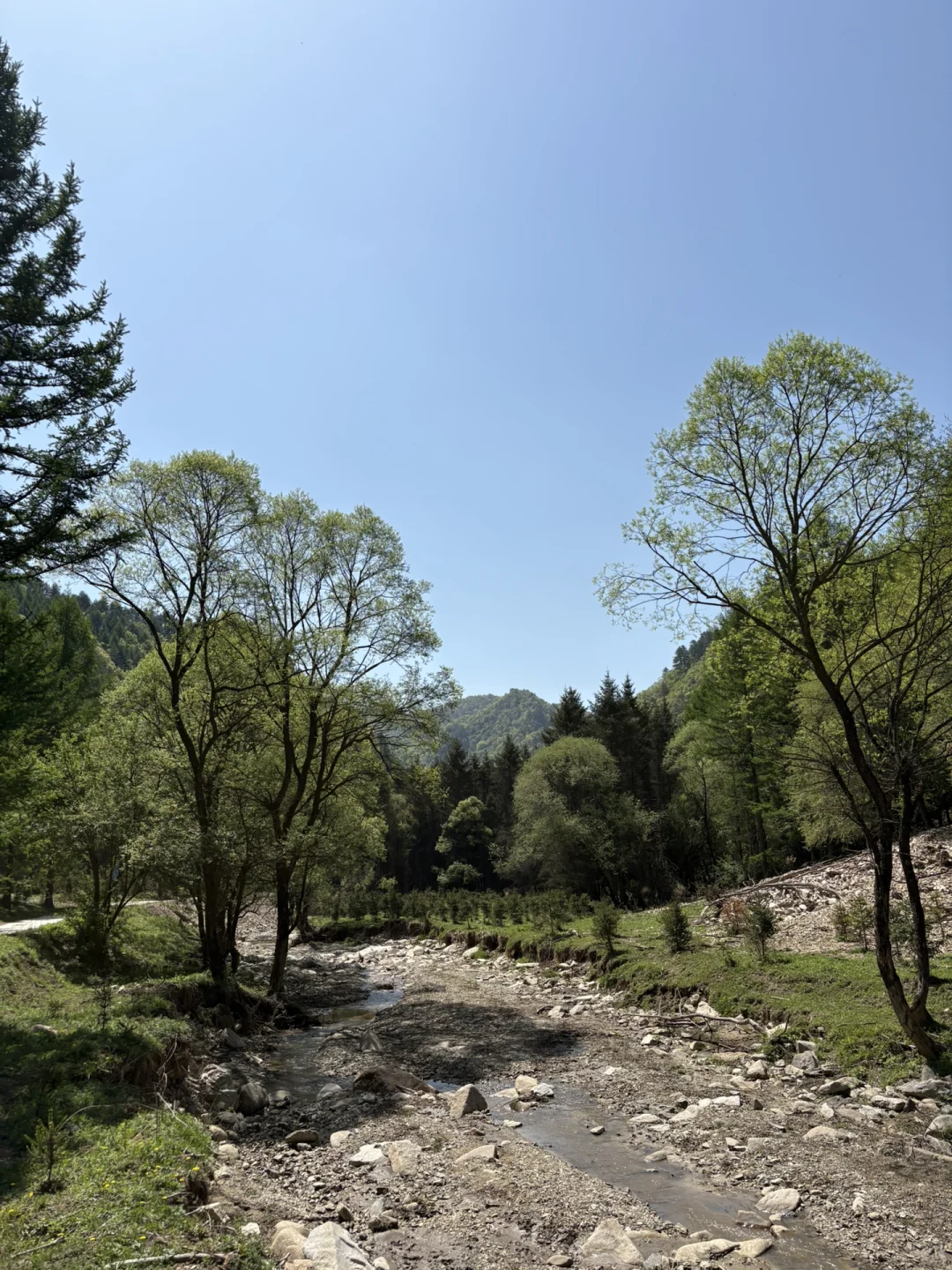 事业编林场入职第二十三天