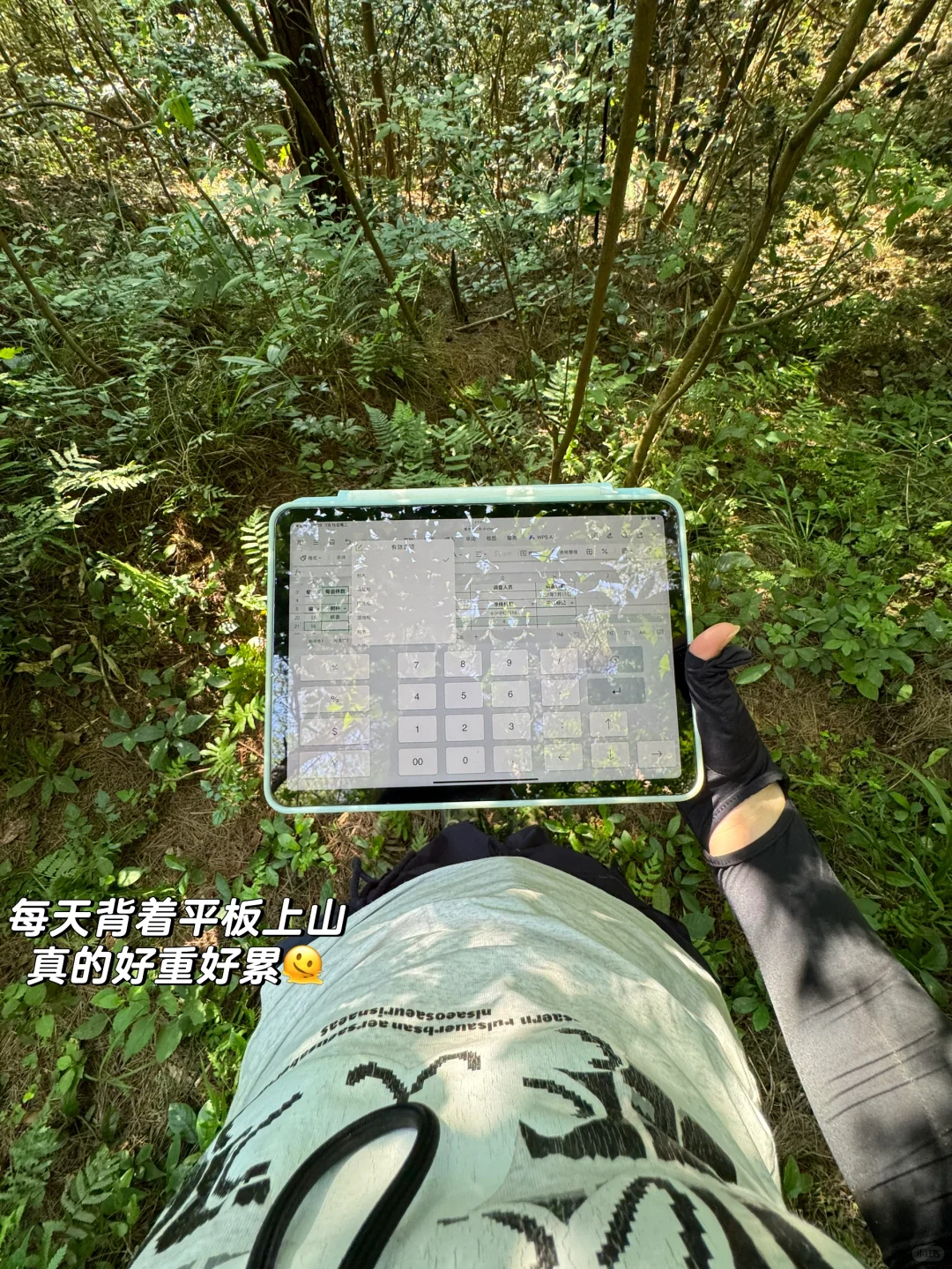 林业女研究生外业日常🧩