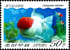 朝鲜海洋鱼类资源