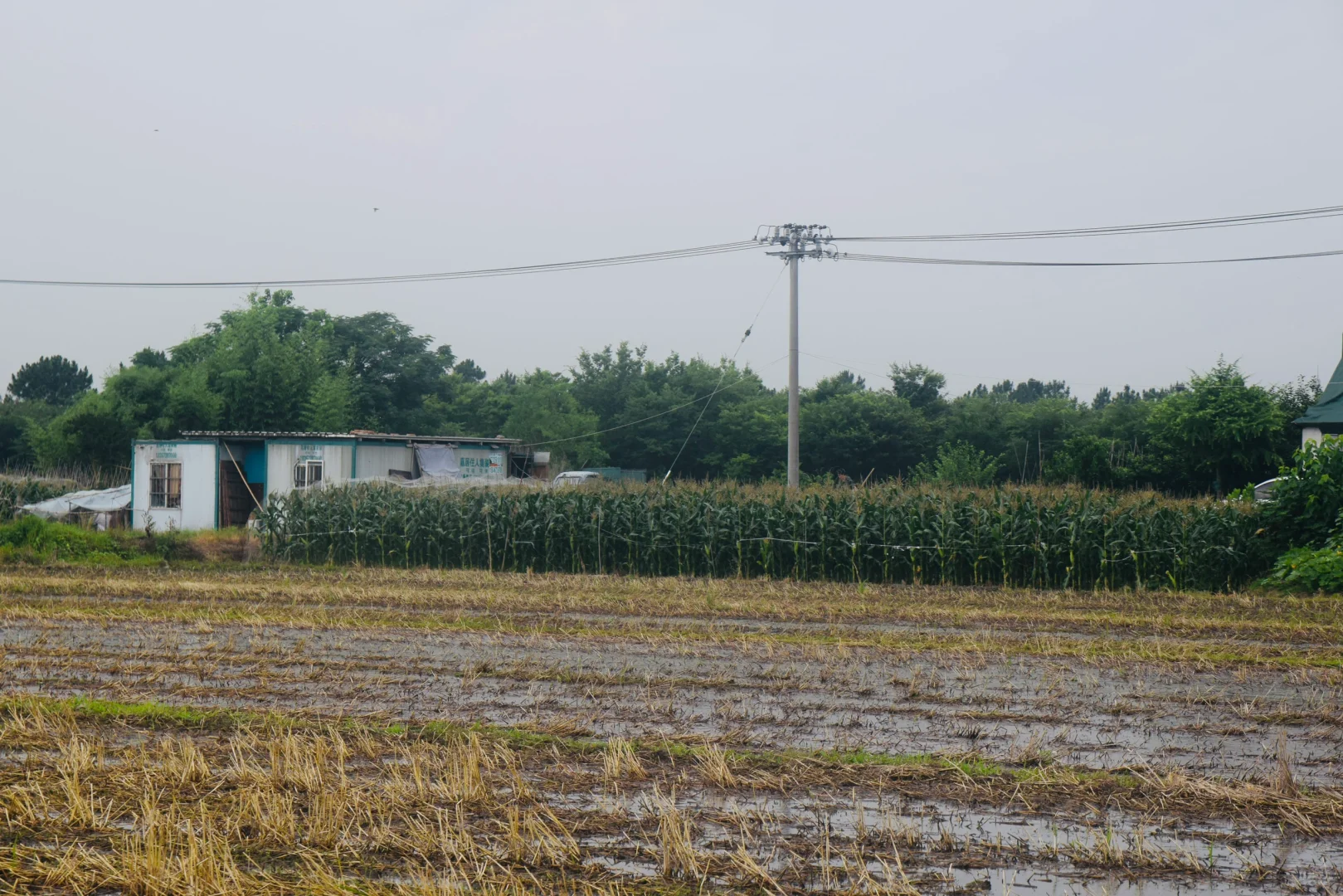 生态农场的机械困境：抢不过大户｜稻蚕共生