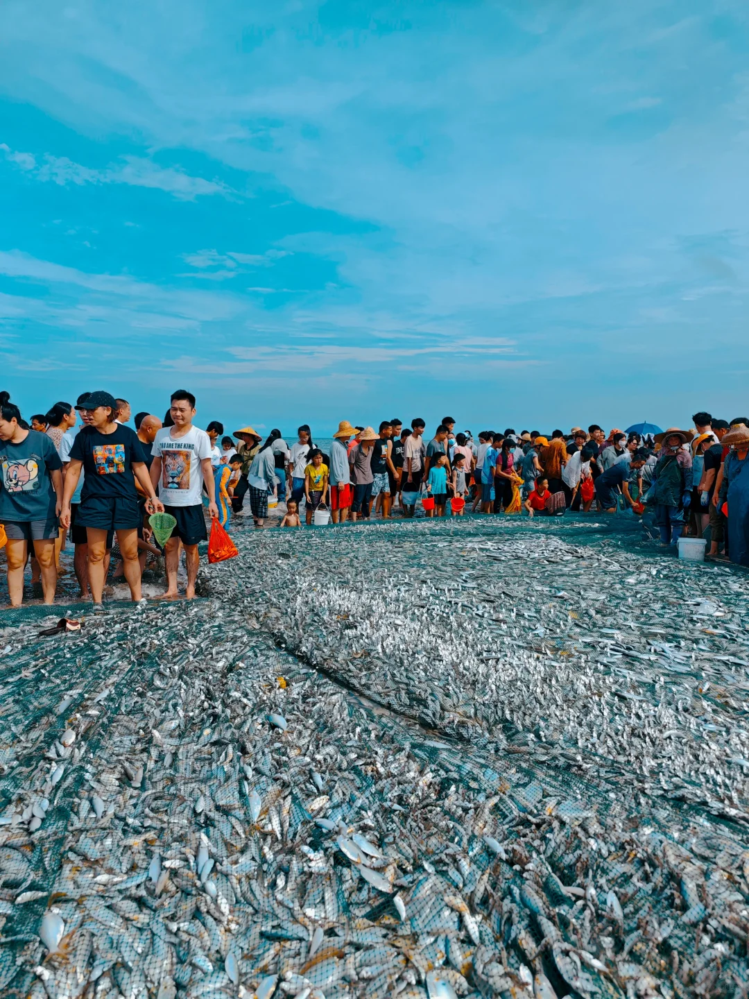 湛江开海啦|丰收季🐟