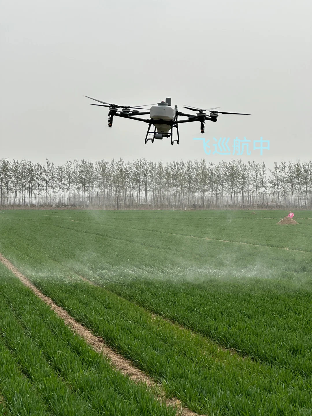 🌾【科技赋能农业，大疆无人机助力丰收】🌾