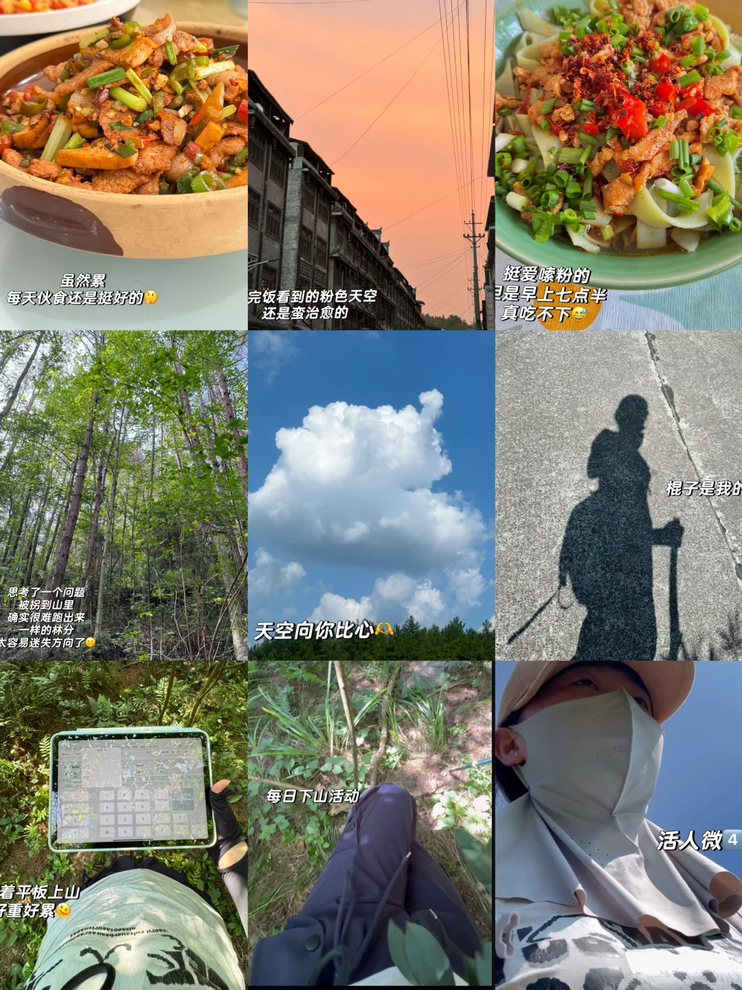 林业女研究生外业日常🧩