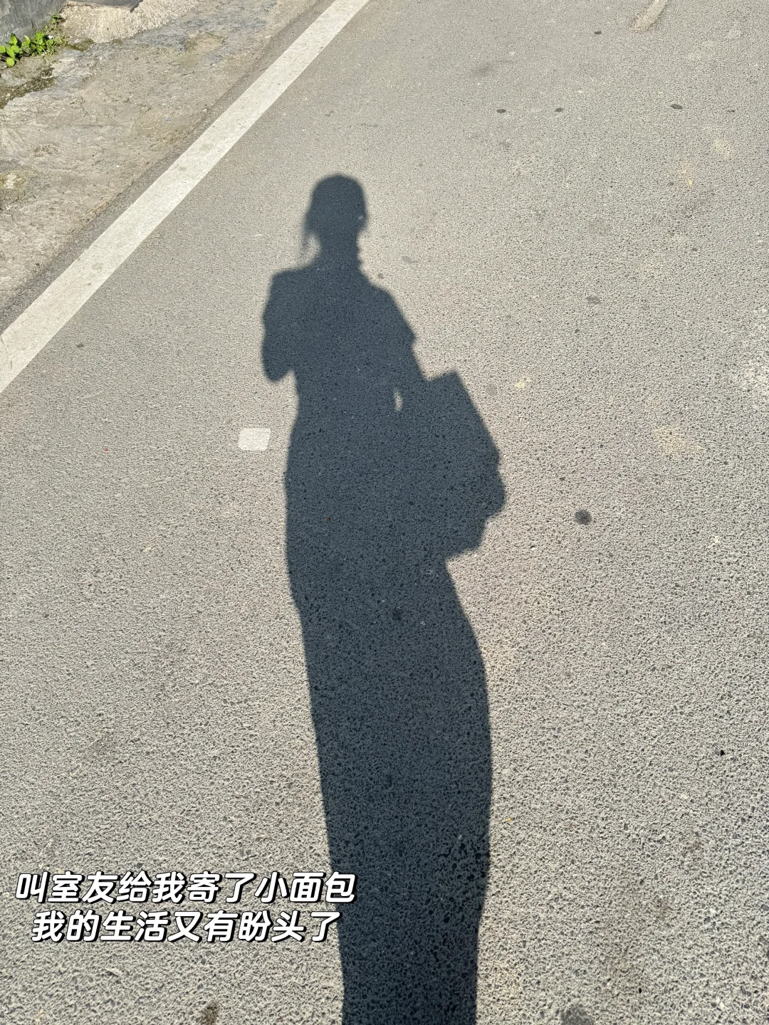 林业女研究生外业日常🧩