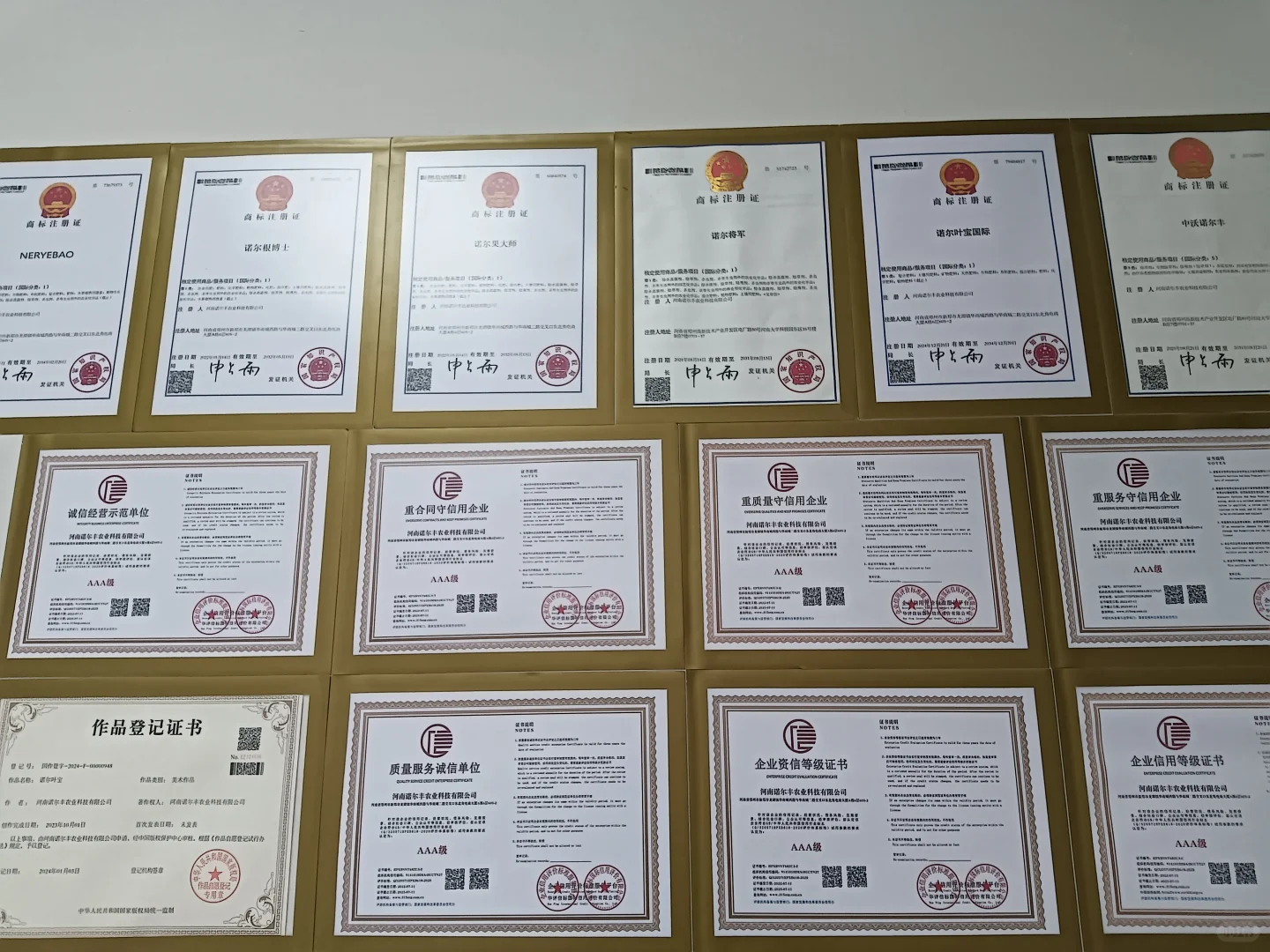 00后勇闯农资圈！