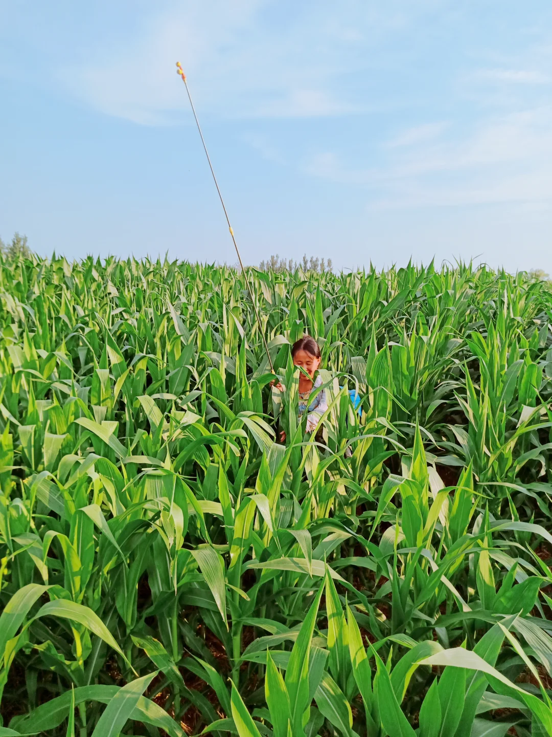 网上说种地已经成了中产们的新趋势