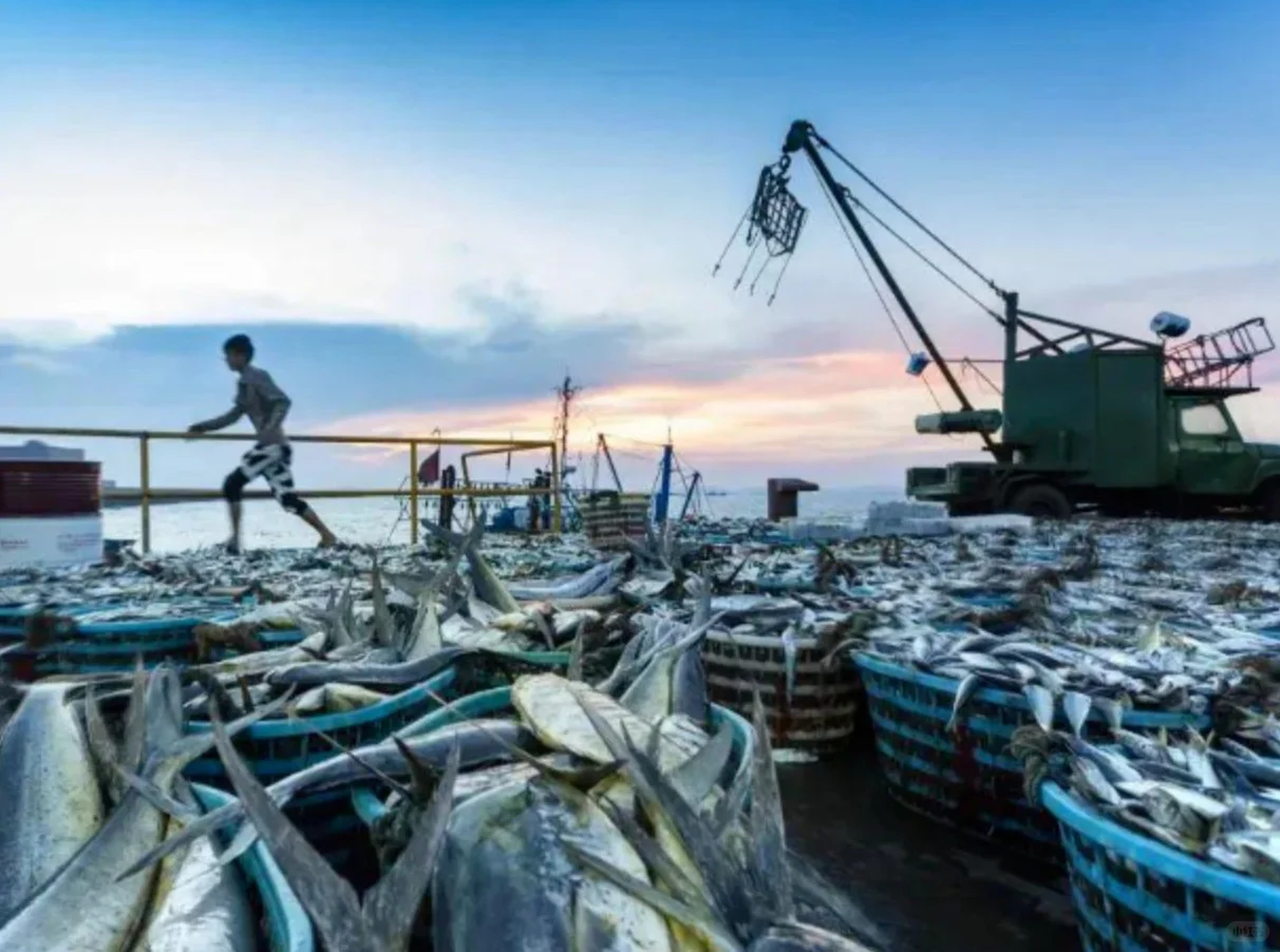 🐟潜入深海：渔业养殖的趣味科普🌊