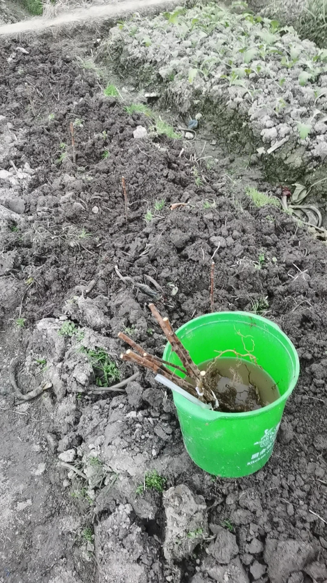 农民也要实习的～～种地吧