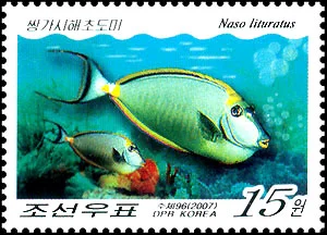 朝鲜海洋鱼类资源